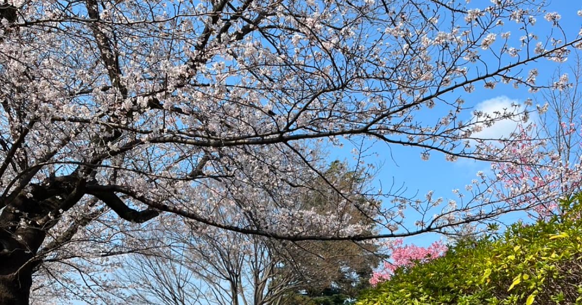 春の「なんとなく不調」を感じていませんか?たまプラーザで心身を整える第一歩